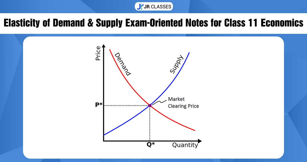 Elasticity of Demand & Supply Exam-Oriented Notes for Class 11 Economics